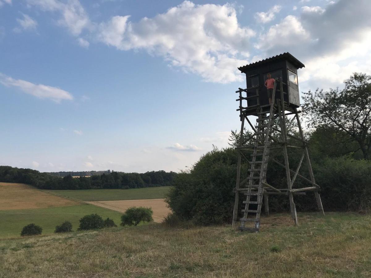 Vakantiewoning Duitsland Villa Freisen Eksteriør billede